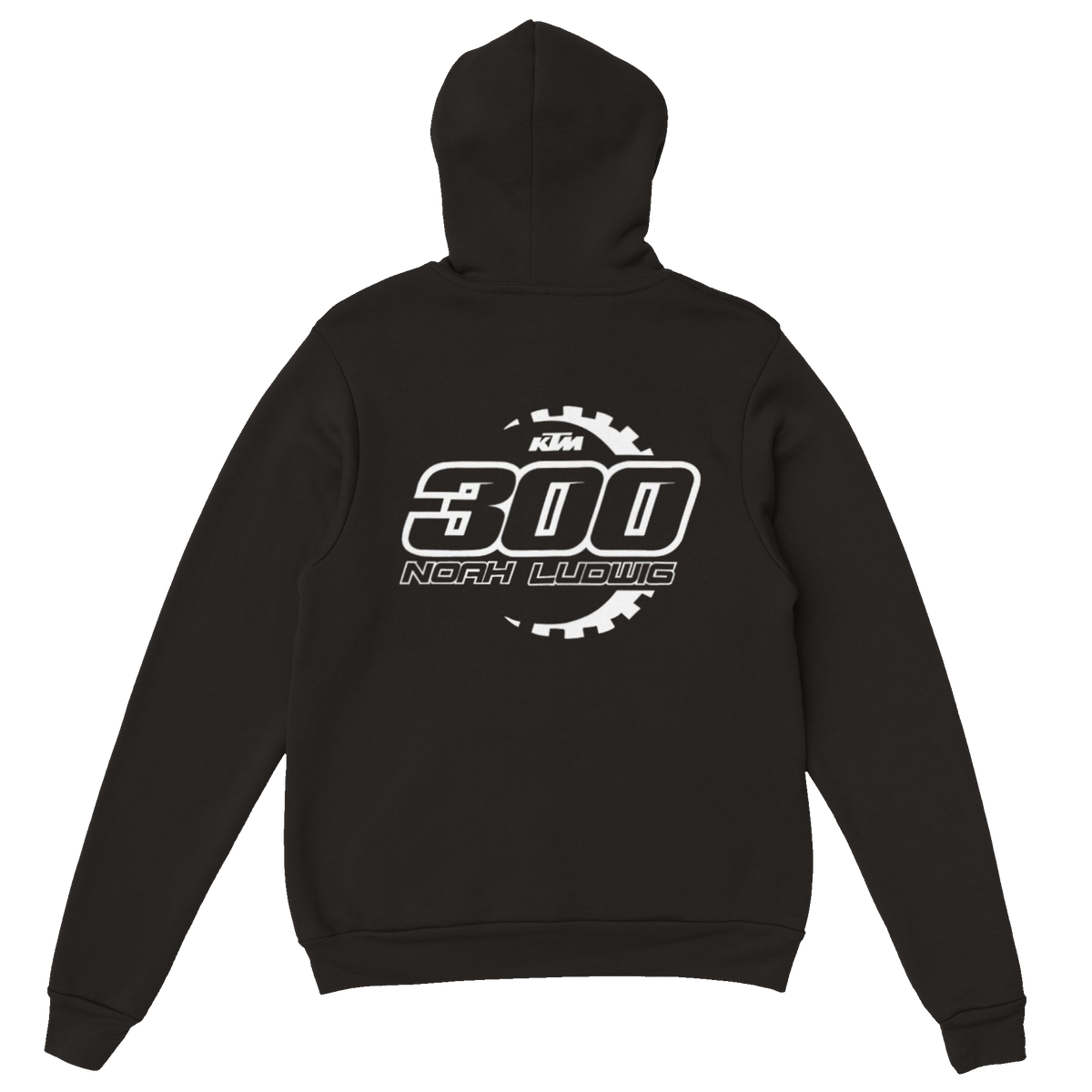 Noah Snap Hoodie Noah Ludwig Hoodie Downshift