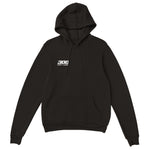 Noah Ludwig Hoodie