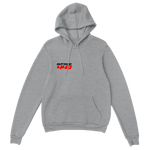 Success 440 Hoodie